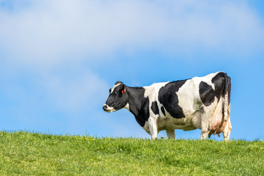 Heat stress is likely to become a problem in other species as global temperatures rise