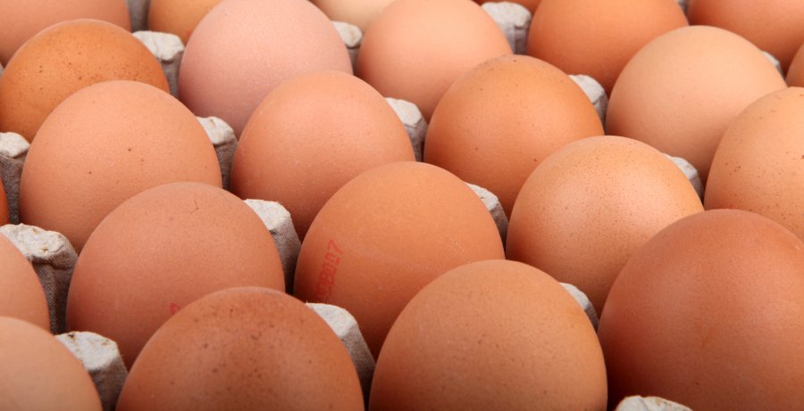 Industry observers warn that the egg sector should view the rise of eggless alternatives as a threat