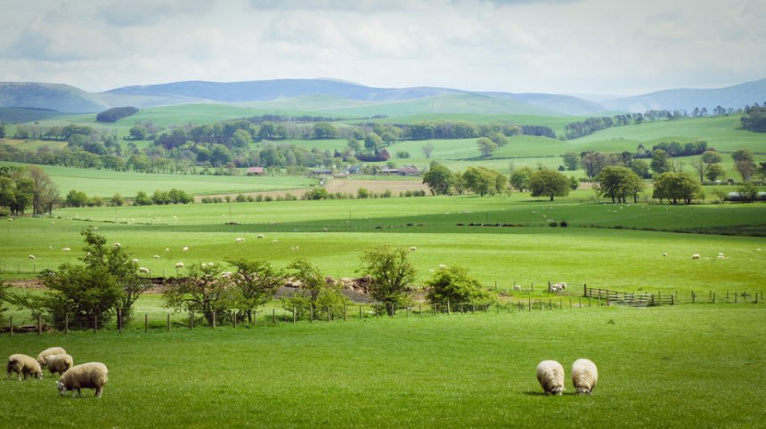Scottish farmers will be able to apply for funding over the next three years to help combat climate change
