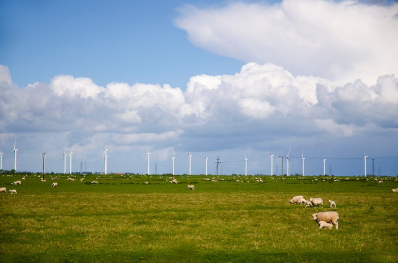 Some farmers are producing more renewable energy to help the industry reach its net zero emissions target