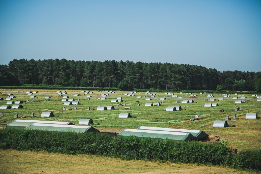 Climate change action has been embedded across all areas of the business, including in farming operations
