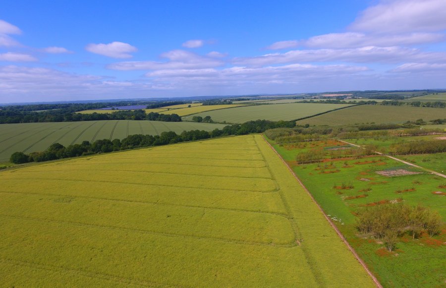 Key to the plan is taking advantage of the mixed arable and livestock farming system at Leckford