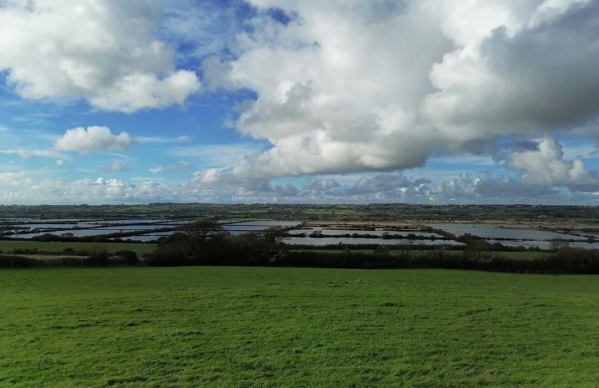Anglesey farmers say they have been left 'exasperated' by continuous flooding, which they say is preventable