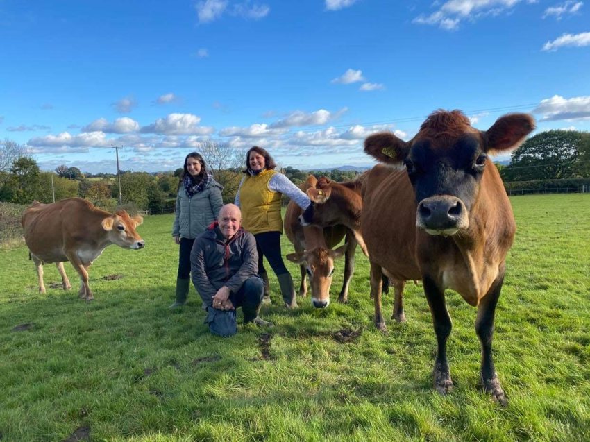 The Jerseys are milked twice a day using a mobile milking machine in the field where they graze