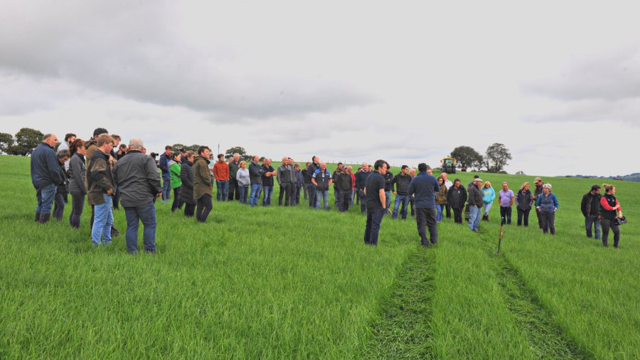 During a recent farm open day, farmers saw the results to date and heard advice from three specialists