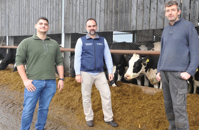 Cow mobility issues nearly halve after video monitoring - FarmingUK News