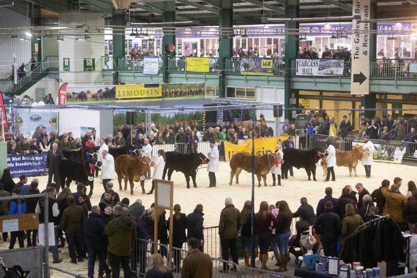 The bumper crowd witnessed numerous successes at English Winter Fair