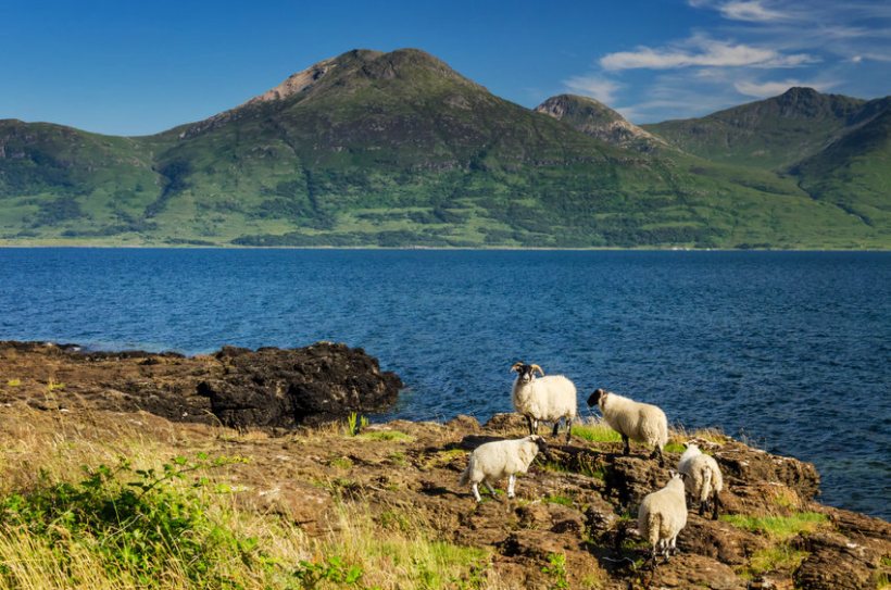 Scotland can become one of the most environmentally friendly meat producers in the world, the report says