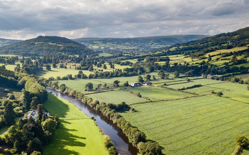 Productive Welsh farmland is being increasingly bought up by foreign companies to offset their emissions