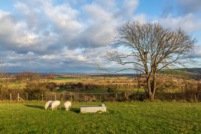 The FUW said farms must be on the frontline, not the firing line, when it comes to tackling the climate crisis