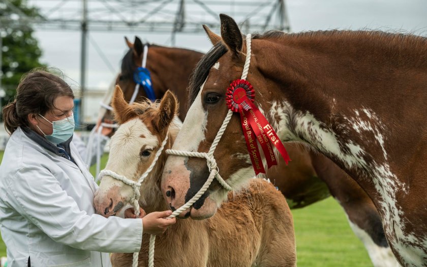 Organisers of Scotland's largest outdoor event hope to welcome the public back to the Ingliston showground