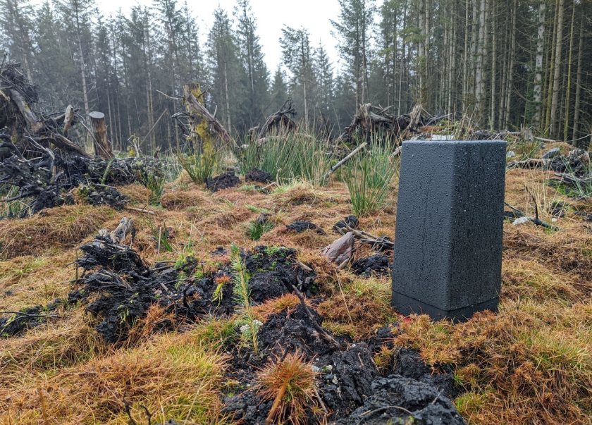 The device counts weevils and notifies farmers and land managers when the population gets to critical levels