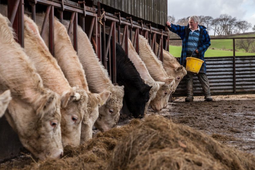 There are concerns that future support schemes could benefit large landowners and firms based outside Wales