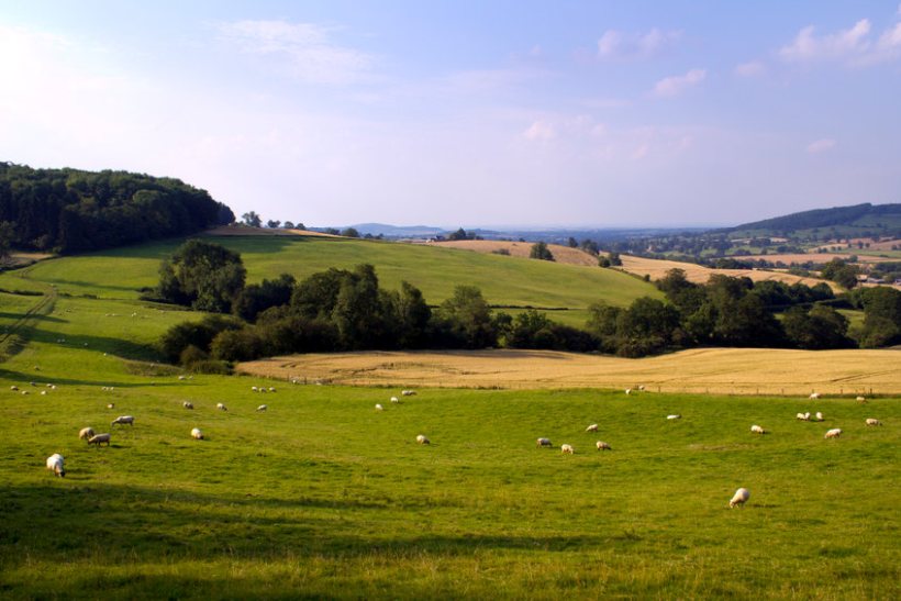 The report says farmers across Europe must work together collectively to combat challenges on a global scale