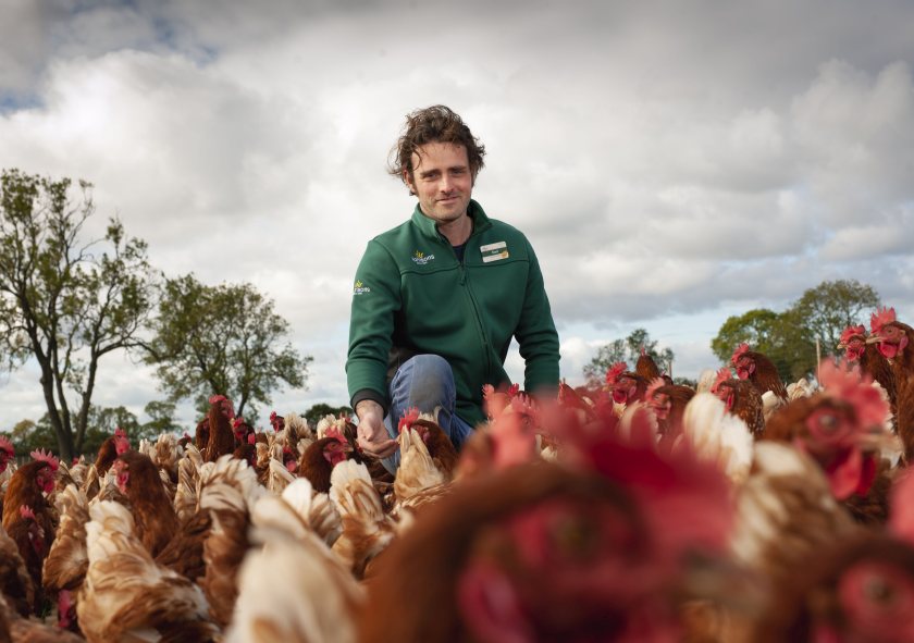 New insect ‘mini farms’ will be introduced on ten of Morrisons UK egg farms to feed hens