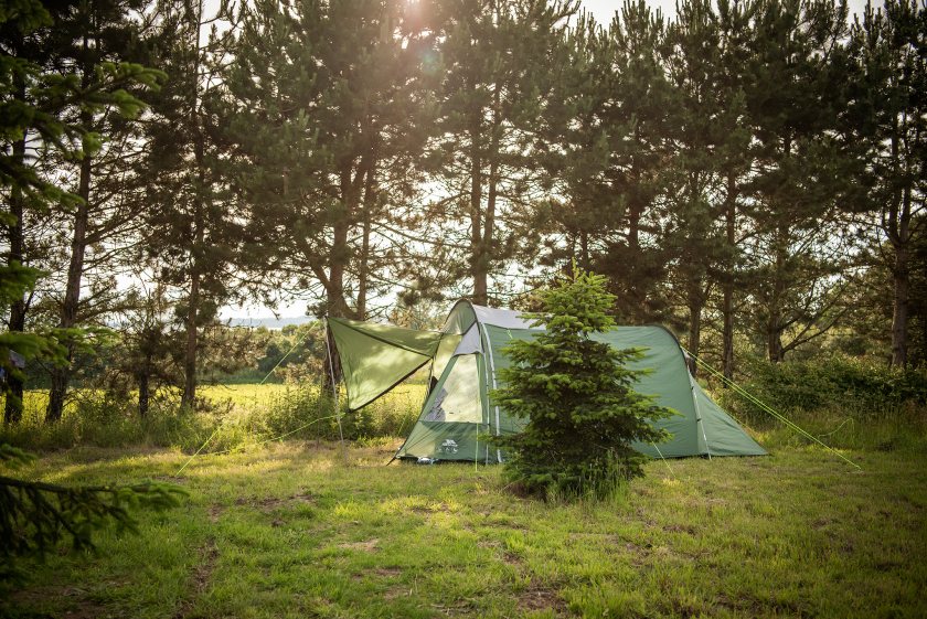 Many farming businesses made the most out of this year's 'staycation' boom by hosting pop-up campsites