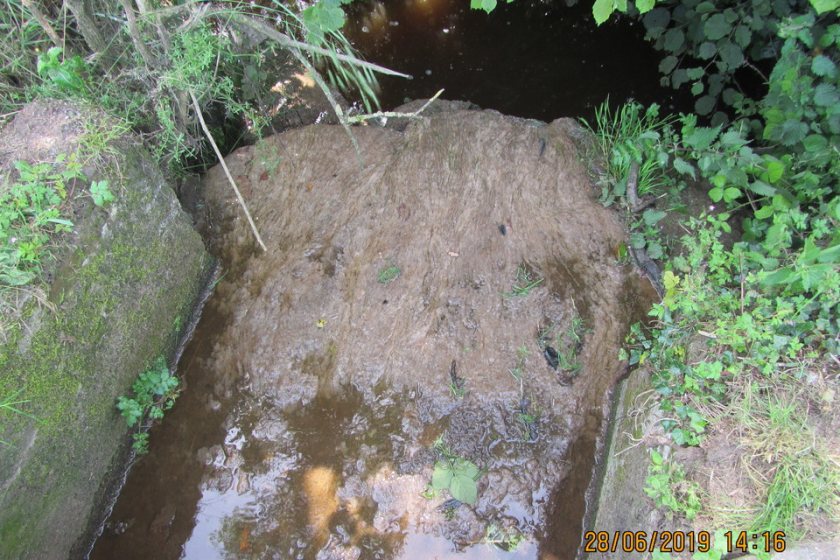 District Judge Lynne Matthews described the offences as ‘disgraceful’ and ‘appalling’ (Photo: Environment Agency)
