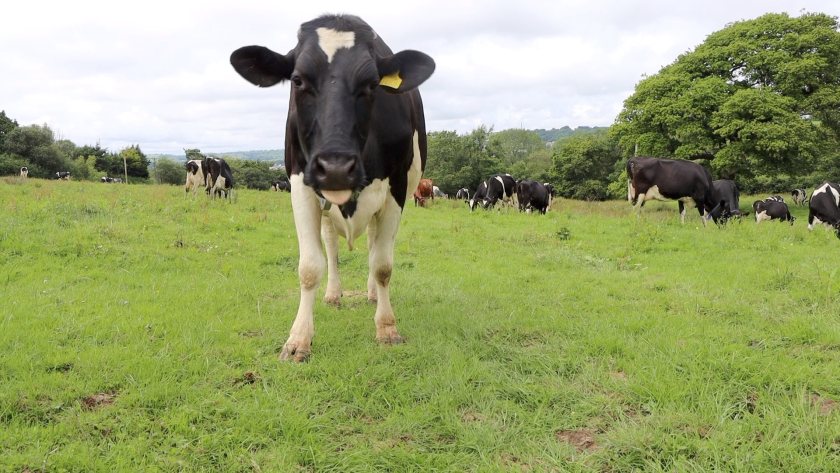 Officers from NRW have been carrying out pollution control visits across Wales offering advice to farmers