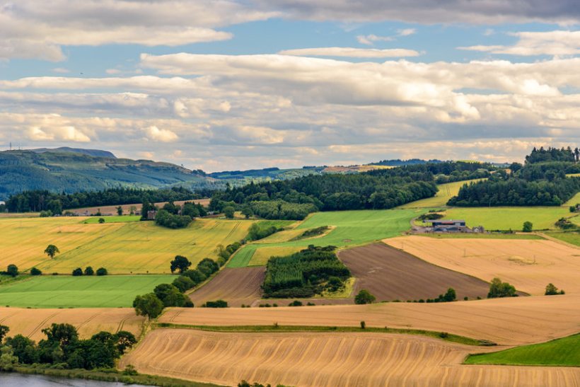 The Scottish Arable Farm of the Year award winner will be revealed at AgriScot on 9 February