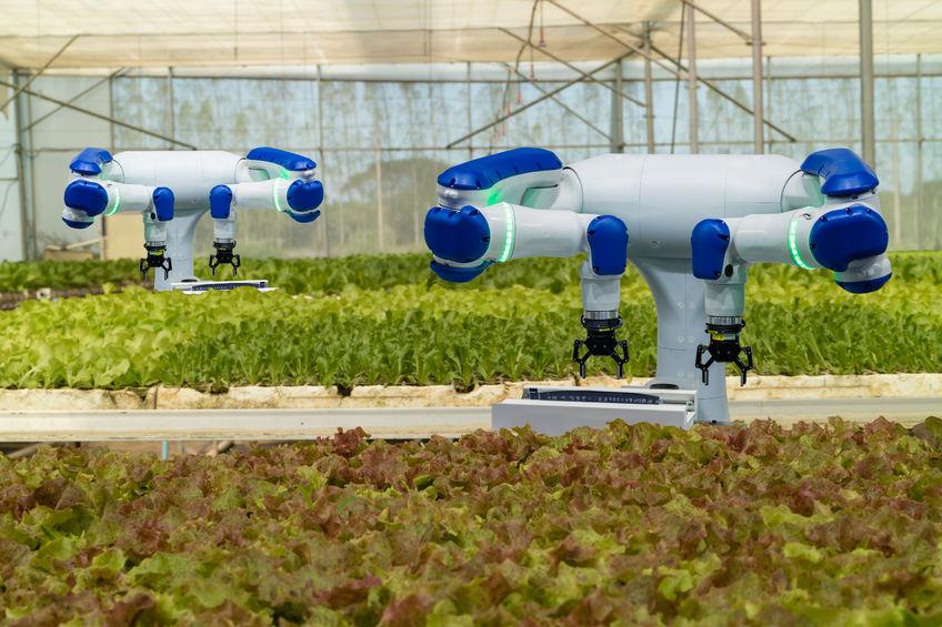 The emphasis on introducing new farm tech is to help increase productivity whilst also improving the efficiency