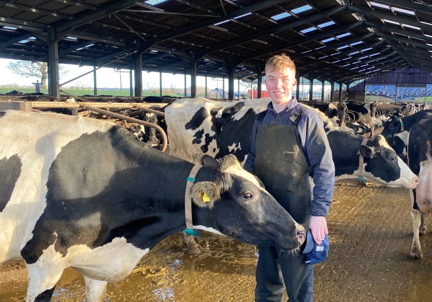 Dedication sees Max Mitchell, from a non-farming background, shortlisted for the Dairy Student of the Year award