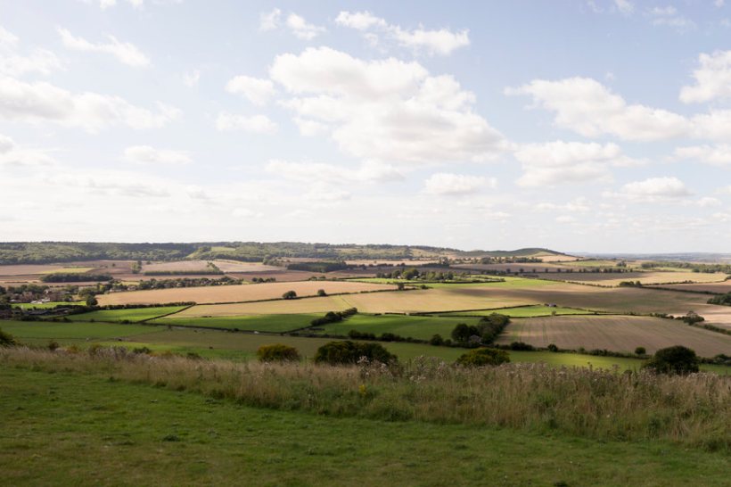 There are a growing list of other buyer types who are interested in investing in farms, Strutt & Parker says