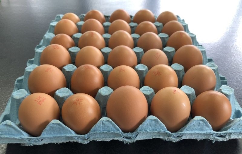 The report shows that the value of free range egg sales has boomed over the 10 years from 2010 to 2020