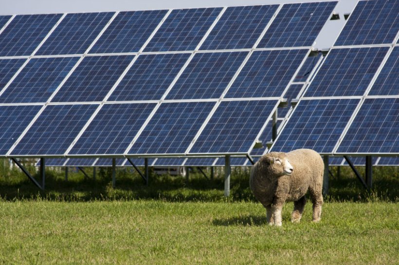 The UK's net zero and nature plans will not work without the support of farmers, a parliamentary committee says