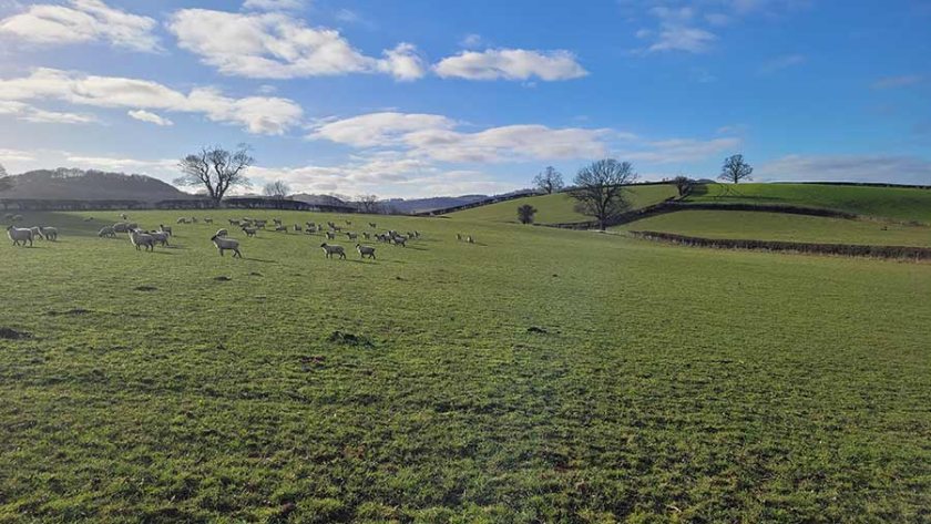 Powys County Council is searching for tenants to manage two farms in the county (Photo: Powys County Council)