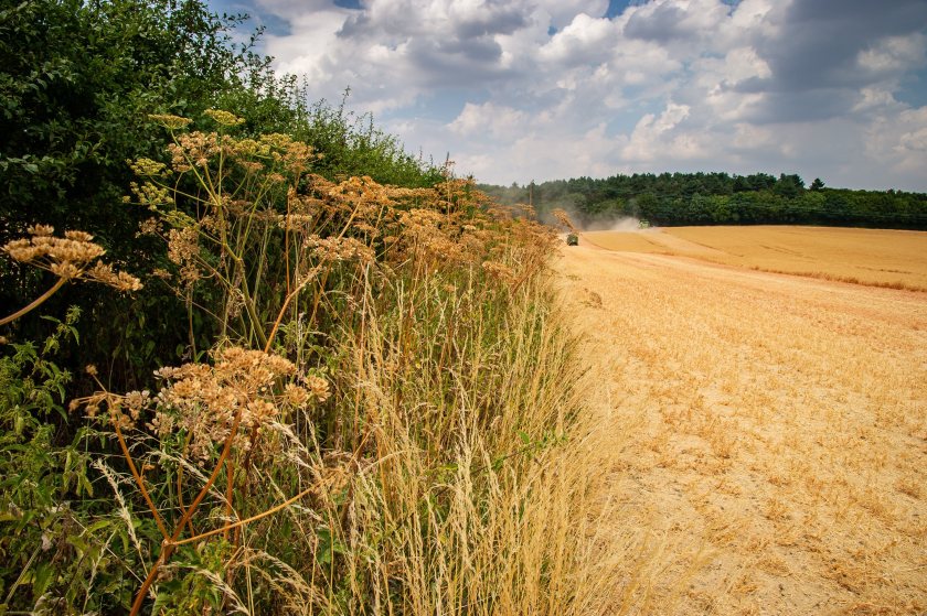 The report concludes that commercial agriculture can flourish while also restoring nature