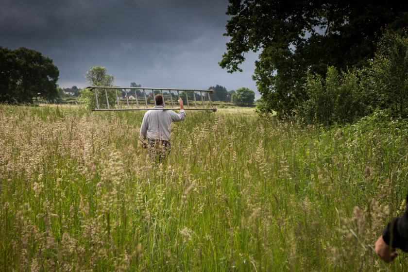 Farmers growing oats for Jordans Cereals manage 28% of their land for wildlife