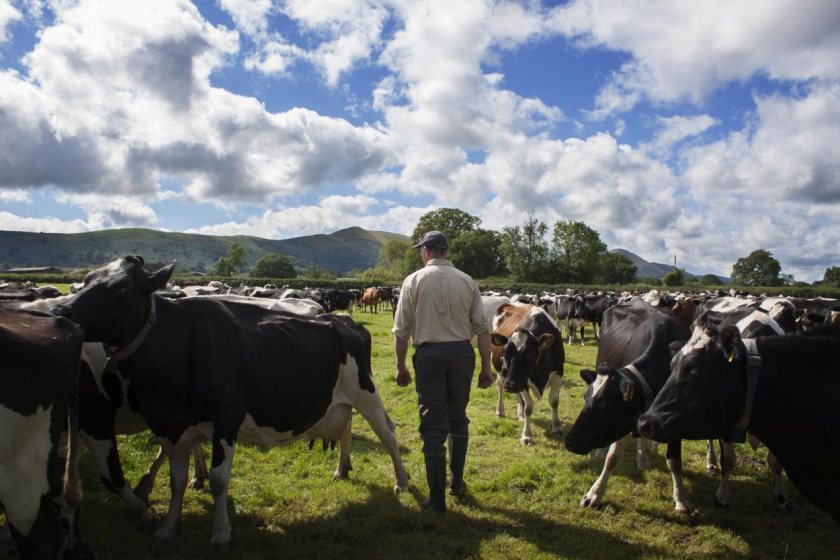 Some organic farmers will now be able to earn triple or even six times as much as before from cash incentives