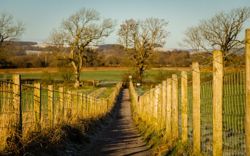 The three-year general licence restriction will apply to the Gairnshiel and Micras areas of the estate