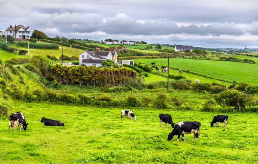 The UFU is seeking a meeting with NI dairy processors as farmers are 'frustrated and angry' with the situation