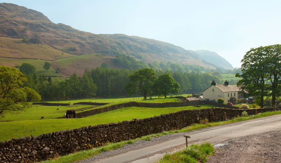 The CLA's report calls for the rural planning system to be reformed to allow for small-scale developments