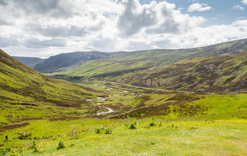 Scotland is expected to play a significant role in carbon credit trading over the next three decades