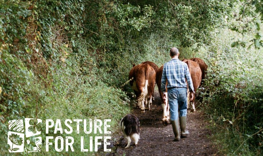 The past two years has seen more consumers looking for pasture-fed livestock products, the group says