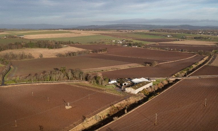 (Photo: Savills)