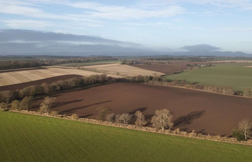 (Photo: Savills)