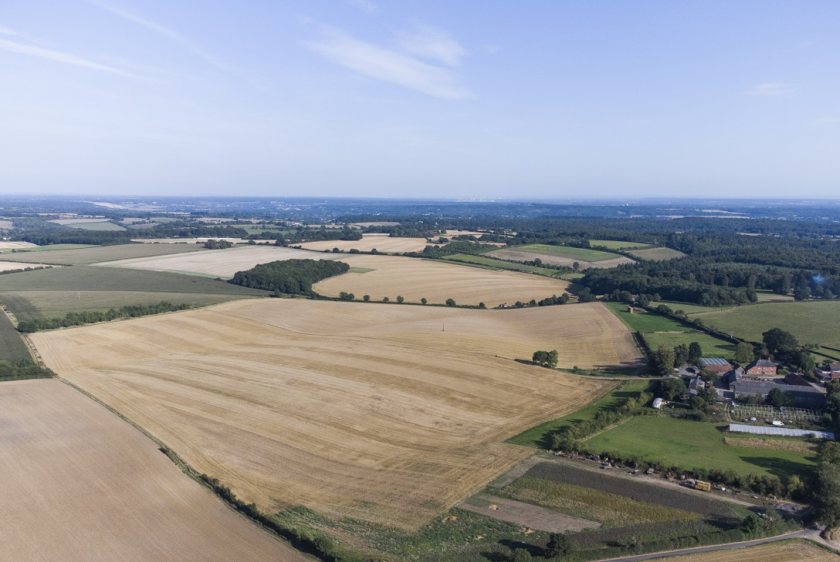 Arable land in England and Wales increased by 4.5% last year, its fastest growth rate since 2016
