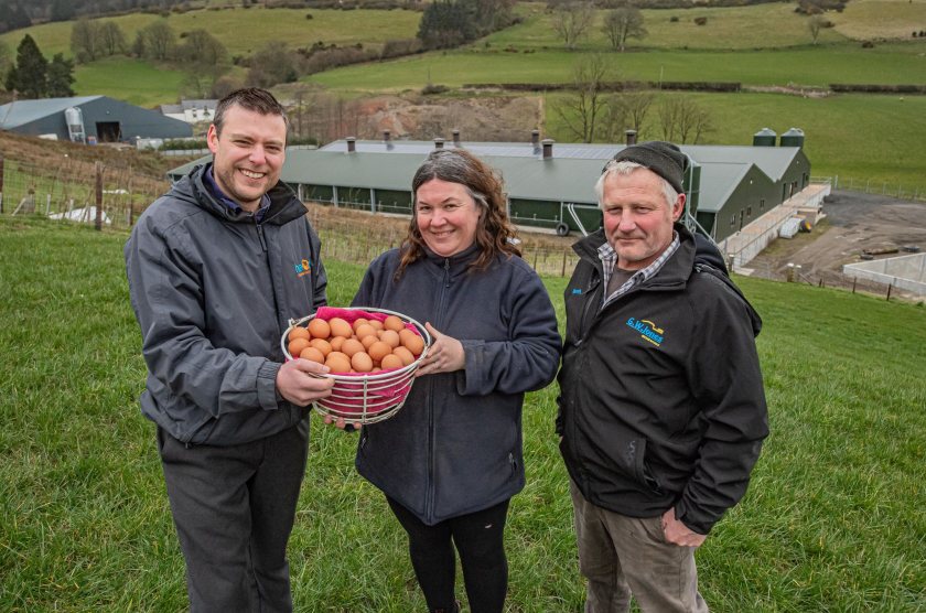 The couple estimate their hens produce over 21 million eggs a year, all bought by Staveleys Eggs