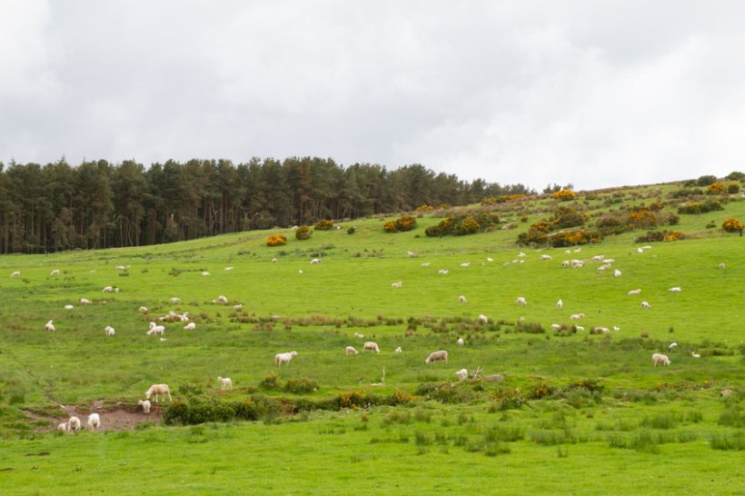 The public register is part of the Scottish government's commitment to improve transparency of land ownership