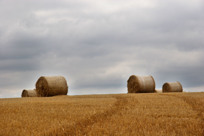 The average farm income is estimated to be £39,300 in 2020-21, rising by £10,000 from the year before