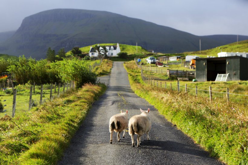 The new research aims to understand what type of resources would best support Scottish farmers