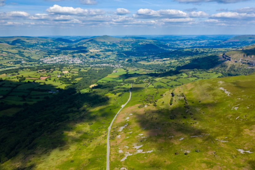 Greater transparency is needed about the purchase of viable farmland in Wales by corporations, MPs say