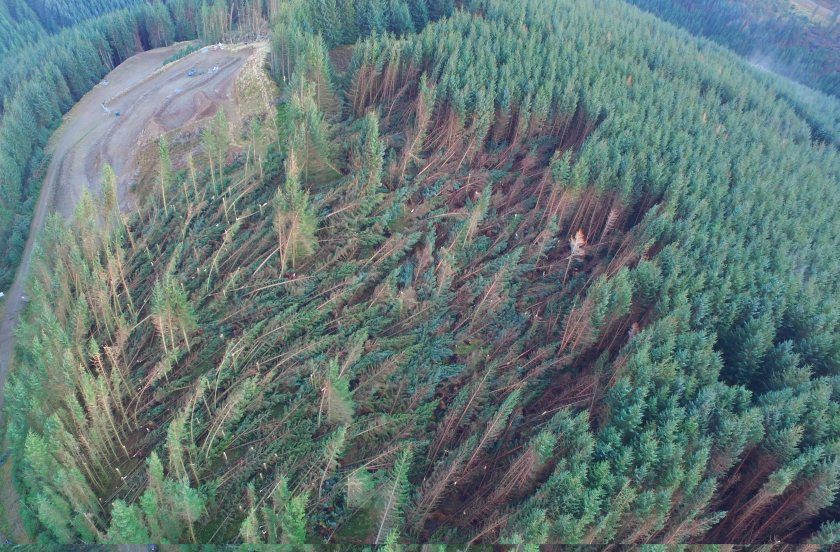 Farming and rural businesses suffered severe damage and disruption following Storm Arwen