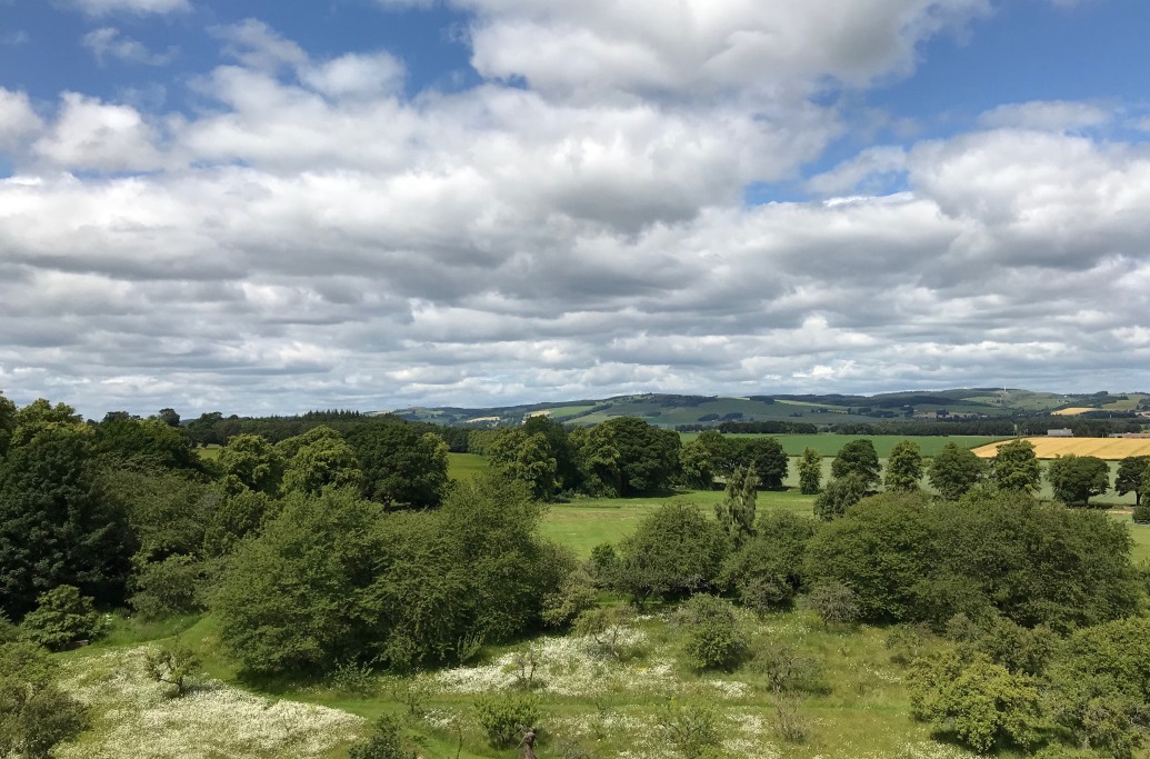 The new report shows the Scottish rural land market is characterised by exceptionally high demand