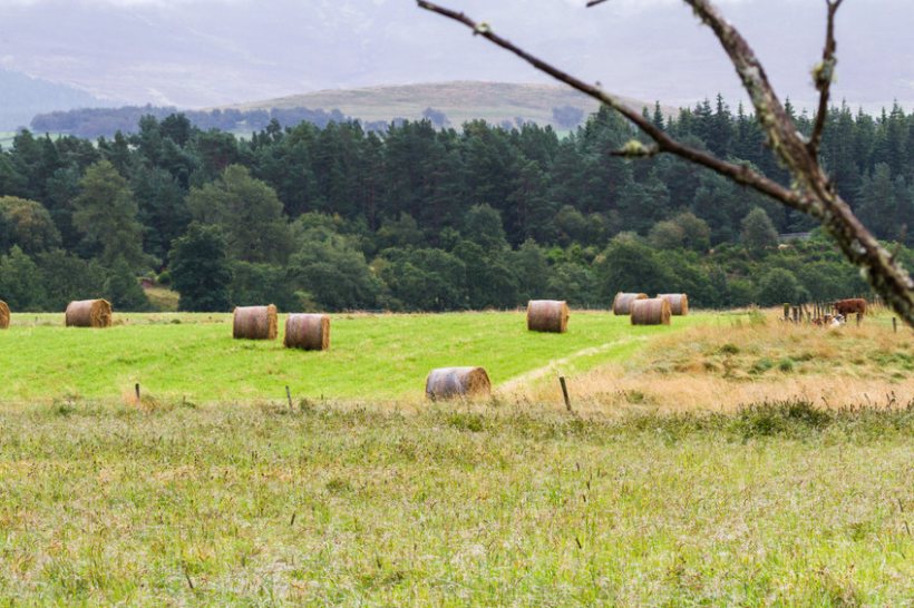 The Sustainable Agriculture Capital Grant Scheme is supported by up to £5 million of Scottish government funding