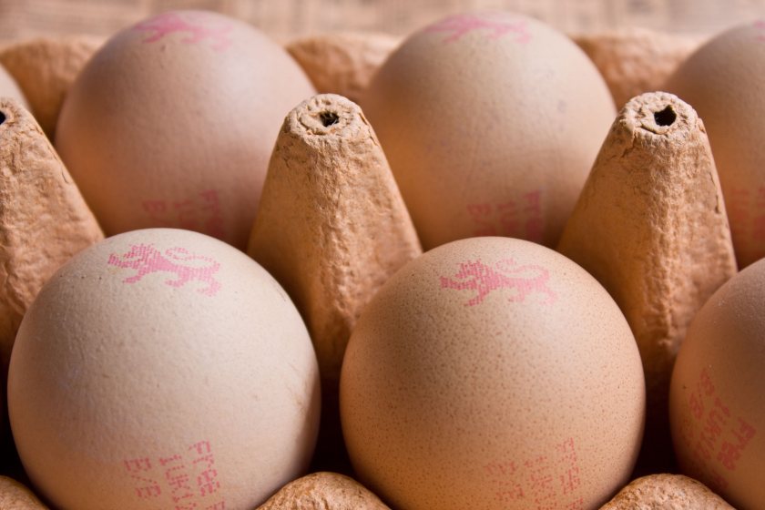 Egg producers have been hit with huge hikes in production costs - feeding hens is now 50% more expensive