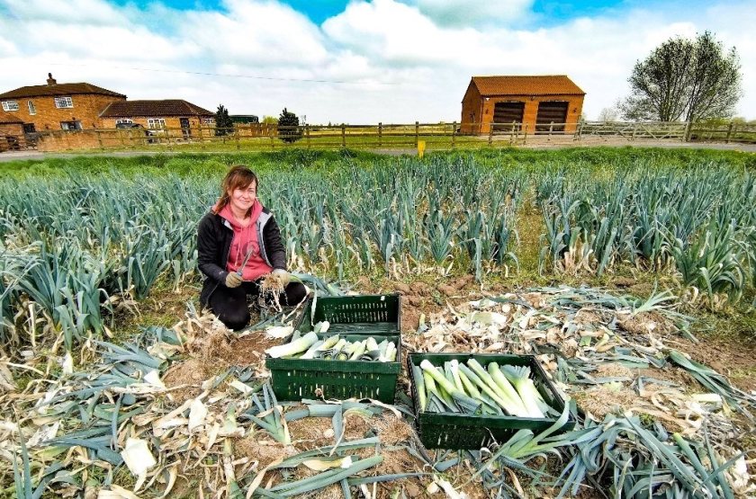 The initiative encourages people across the UK to pick surplus crops to shrink farm-level food waste